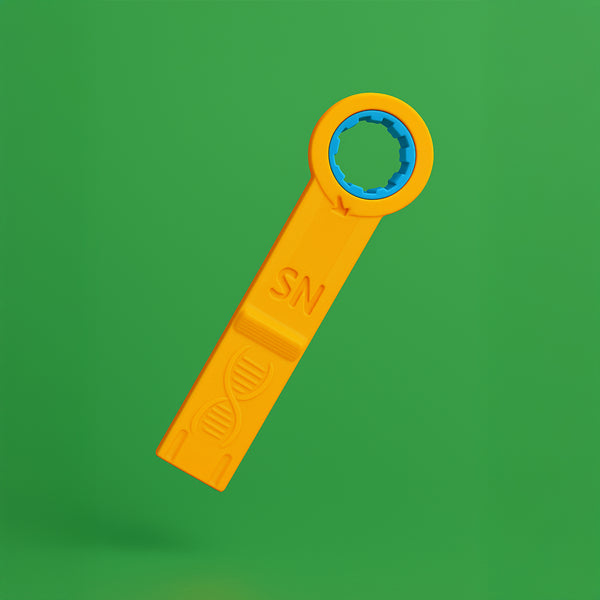 Orange Helix